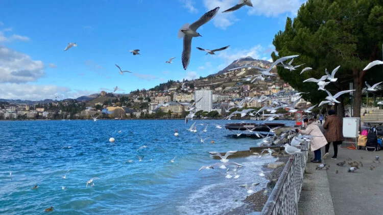 Montreux is the most famous town on Lake Geneva in Switzerland